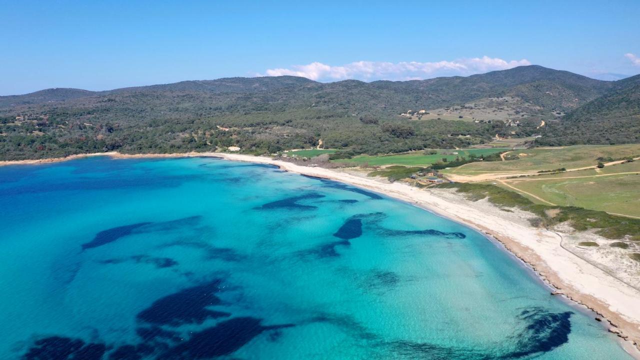 Superbe En Plein Coeur D'ajaccio Apartment Ajaccio (Corsica)